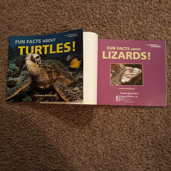 Turtle/Lizard Fun Book Bundle For Kids - Picture 5 of 6